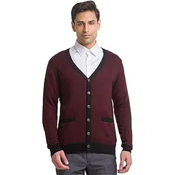 raymond Dark Maroon Sweater-picture-52