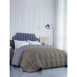 RAZZAI Beige & Grey Microfiber Mild Winter 300 GSM Reversible Single Bed Comforter-picture-11