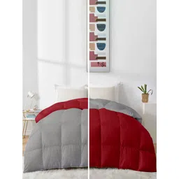 RAZZAI Burgundy & Silver-Toned Microfiber Mild Winter 500 GSM Single Bed Comforter-picture-11