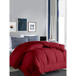 RAZZAI Burgundy Microfiber Mild Winter 300 GSM Reversible Double Bed Comforter-picture-13
