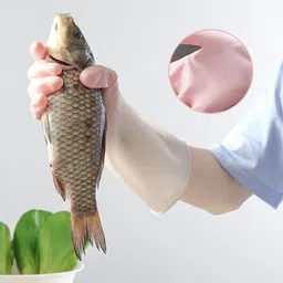 rbgiit Rubber Dishwashing Kitchen Platform Pet Care Scrubbing Cloth Glove B-37 Wet and Dry Glove image 5