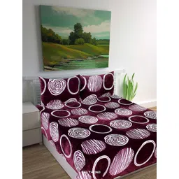 RD TREND 300 TC King Bedsheet with 2 Pillow Covers-picture-33