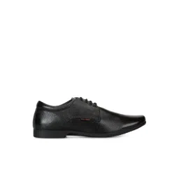 Red Chief Men's Black Derby Shoes-picture-13