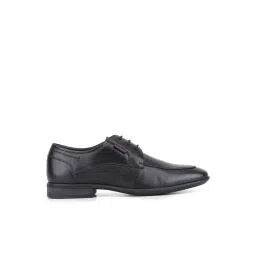 Red Chief Men's Black Derby Shoes-picture-33