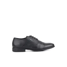 Red Chief Men's Black Derby Shoes-picture-38