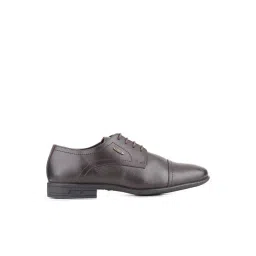 Red Chief Men's Brown Derby Shoes-picture-25