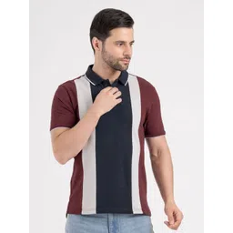 Red Tape Men Colourblocked Polo Collar Regular Fit T-shirt-picture-23