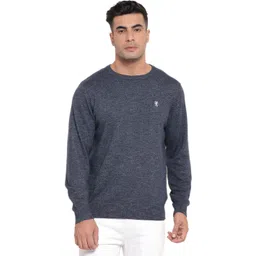 red tape Men Solid Round Neck Blue Sweater-picture-11