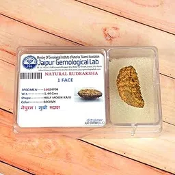 Reiki Crystal Products Original Certified 1 Mukhi Rudraksha One Faced Rudraksha Bead (Color : Brown)-picture-32