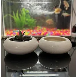 RETAILMAFIA White Ceramic, Plant Containers for Table Top, Plant Pots for Indoor Succulents, Plant Pot for Herbs & Bonsai, Set of 2-picture-33
