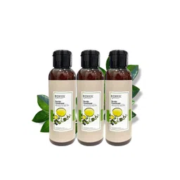 Richfeel Pack Of 3 Scalp Cleanser 100 Ml-picture-29