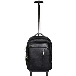 RICHSIGN Textured Leather Laptop Cabin Trolley Backpack-picture-17
