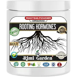 rimi garden Rimi Garden® Rooting Hormones Powder For Plants Cuttings - Promotes Rooting, Grow New Plants From Cuttings. (50 gm)-picture-26