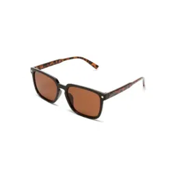 Roadies Brown UV Protection Oval Unisex Sunglasses-picture-16