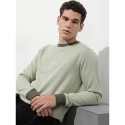 The Roadster Life Co. Round Neck Knitted Sweatshirt-picture-41
