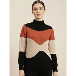 The Roadster Lifestyle Co Colourblocked Turtle Neck Pullover-picture-35