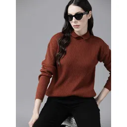 The Roadster Lifestyle Co. Ribbed Turtle Neck Pullover image 1