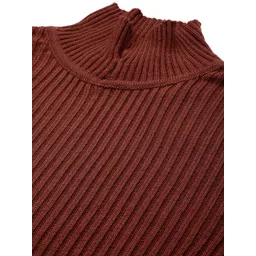 The Roadster Lifestyle Co. Ribbed Turtle Neck Pullover image 2