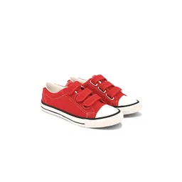 The Roadster Lifestyle Co Women Colourblocked Sneakers-picture-26