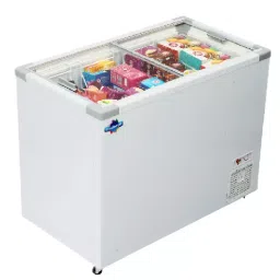 Rockwell 550 L Double Door Non Convertible Flat Glass Top Deep Freezer SFR550GT-picture-24