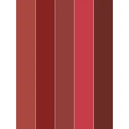 Ronzille 5 in 1 Lipstick - 2g - Shade A image 2
