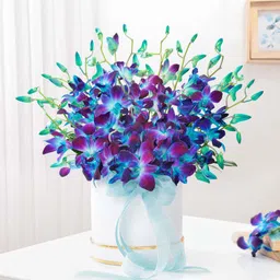 Royal Elegance Orchid Arrangement-picture-34