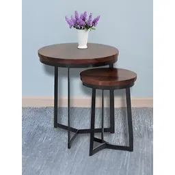 Royaloak Brown 2 Pieces Stainless Steel Nesting Tables-picture-31