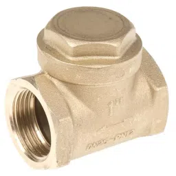 RS PRO Brass Single Non Return Valve, BSP 1in, 16 bar Model No 486205-picture-15