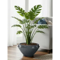 RUBOXA 2Pcs Grey Rotomould Round Planters With Drainage Hole-picture-23