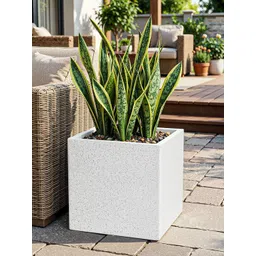 RUBOXA White Rotomould Square Planter With Drainage Hole-picture-38