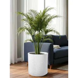 RUBOXA White Round Large Planter With Drainage-picture-19