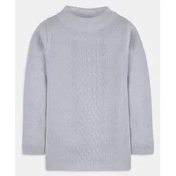 RVK Full Sleeves Solid Stretchable Pullover Skivvy Sweater- Silver-picture-23