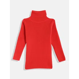 RVK Kids Ribbed Turtle Neck Long Sleeves Acrylic Pullover-picture-22