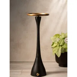 S. G. Home Black & Golden Rustic Metal Table-picture-40