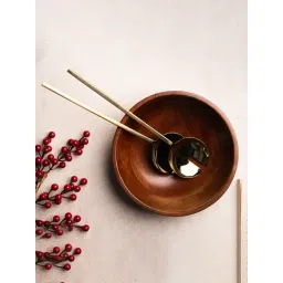 S. G. Home Golden Serving Spoon (Set of 2)-picture-21