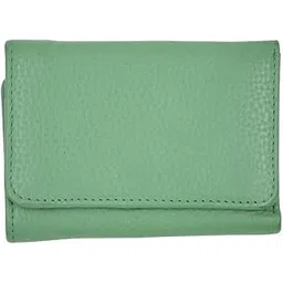sa-cuero Genuine Leather Ladies Handbag/purse/clutch for women, European Union Standardized (light green)-picture-51