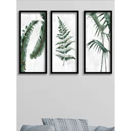 SAF Green & White 3 Pieces Tropical Leaves Painting Wall Arts-picture-28