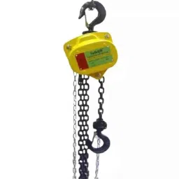 Safelift Saif-T 3 Ton 3m Chain Pulley Block, CBST0303-picture-43