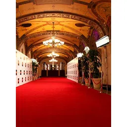 Safiya Carpet Red Solid Anti-Skid Nylon Carpets-picture-17