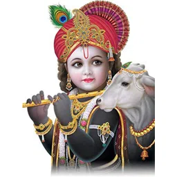 Sai Designs Black & Red Beautiful Small Krishna Wall Sticker-picture-21