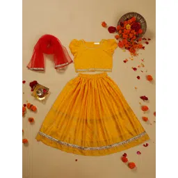 SAKA DESIGNS Girls Printed Ready to Wear Lehenga & Blouse With Dupatta-picture-29