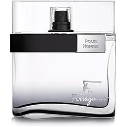 Salvatore Ferragamo F Pour Homme Eau De Toilette Spray - 100 Ml - For Men - Lavender-picture-25