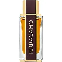 Salvatore Ferragamo Spicy Leather Eau de Parfum - 100ml (For Men)-picture-28