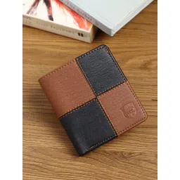 SAMTROH Men Colourblocked PU Two Fold Wallet-image-31