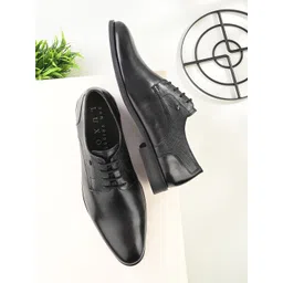 San Frissco Men Textured Genuine Leather Formal Derbys-image-29