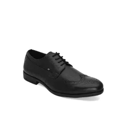 San Frissco Men's Buxom Black Derby Shoes-picture-19