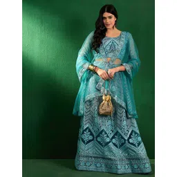 Sangria Ethnic Motifs Embroidered Sequinned Net Semi-Stitched Lehenga Choli-picture-26