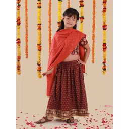 Sangria Girls Embellished Lehenga With Choli & Dupatta-picture-53