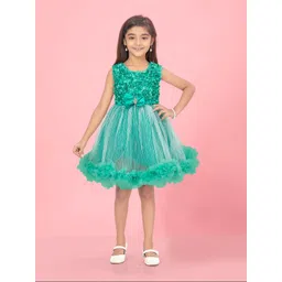 Sangria Girls Embellished Net Dress-picture-18