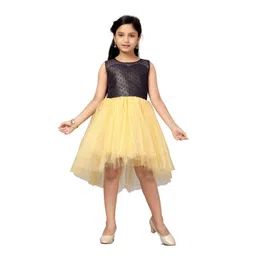 Sangria Girls Party Wear Frock-picture-57